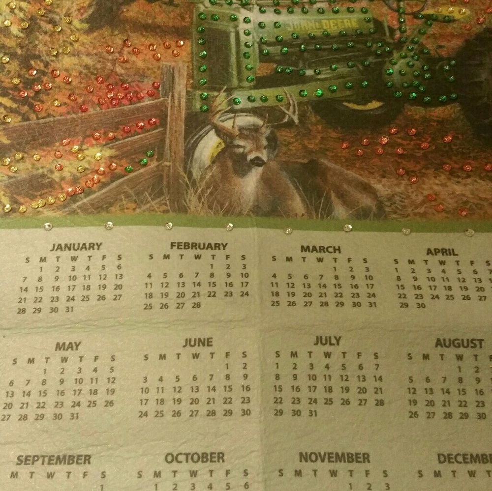 SEQUINED CALENDER